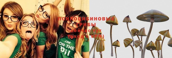 spice Бронницы