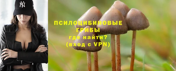 spice Бронницы