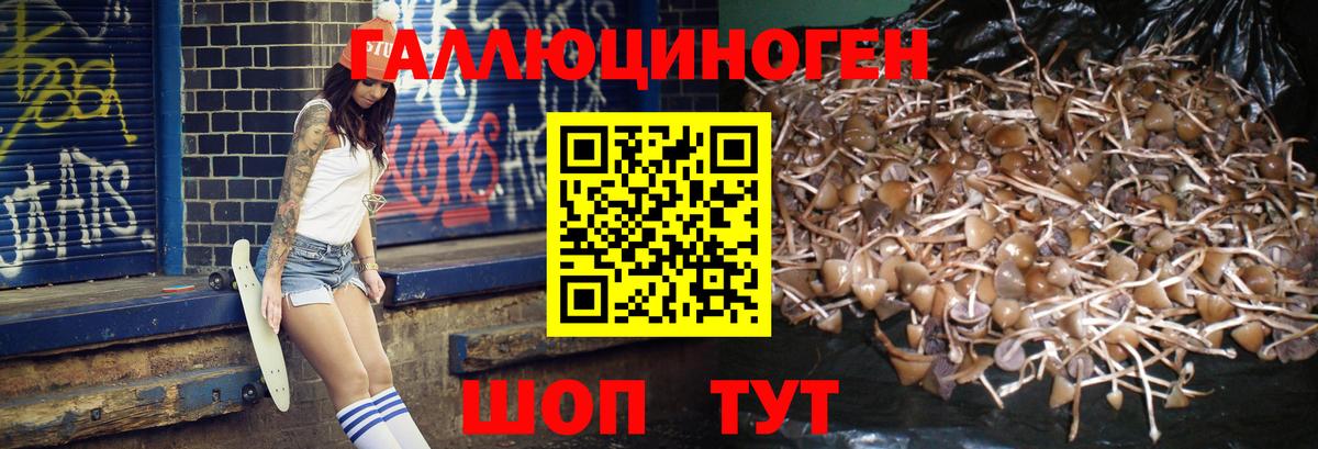 Галлюциногенные грибы Magic Shrooms  Вход с VPN  Верхний Уфалей  Галлюциногенные грибы Psilocybine cubensis 