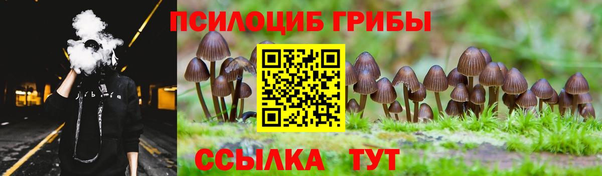 Псилоцибиновые грибы мицелий Верхний Уфалей